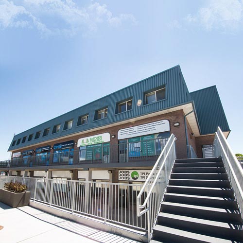 colleges in brampton mississauga toronto